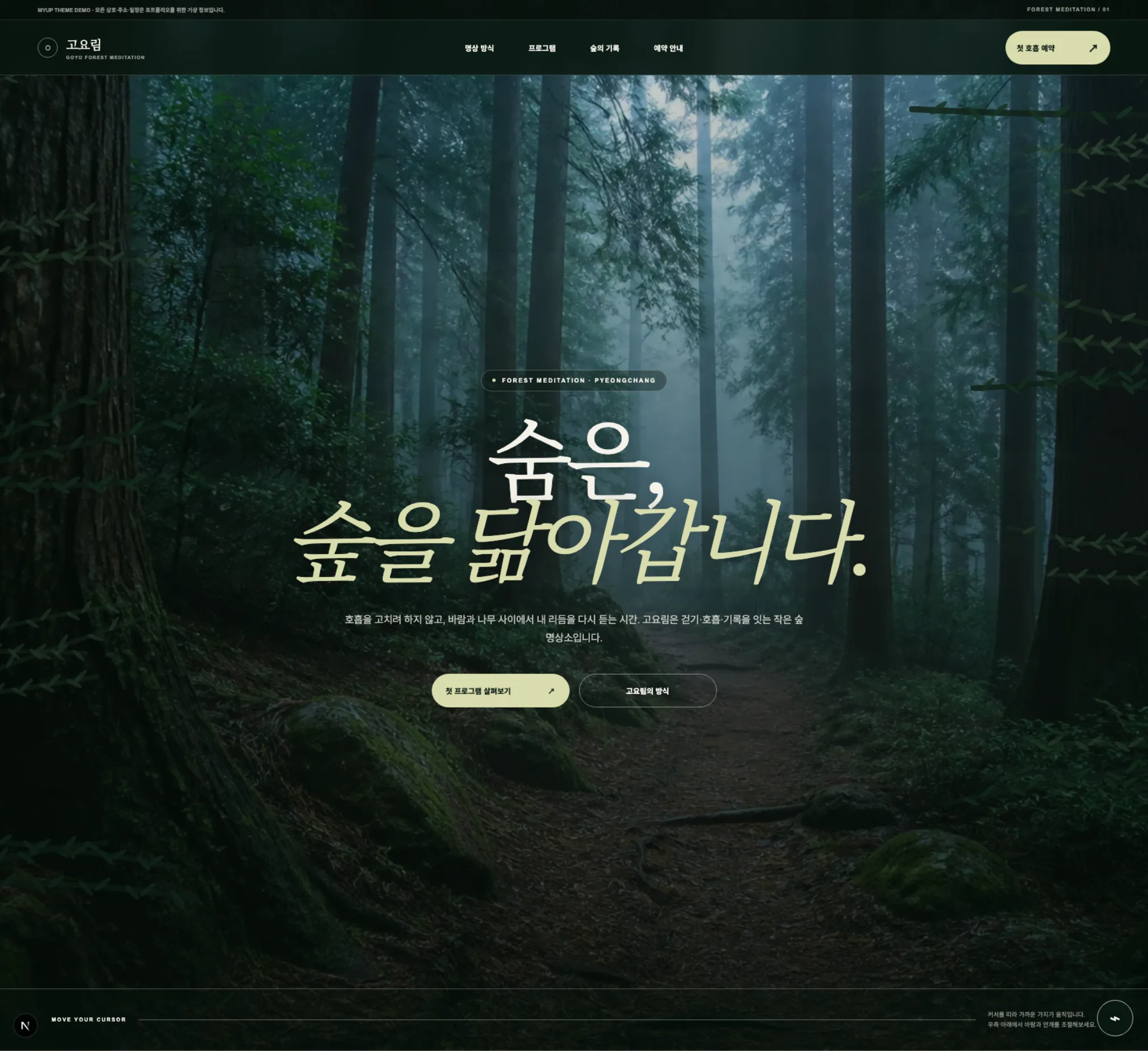 새벽 안개가 내려앉은 숲 명상 리트릿